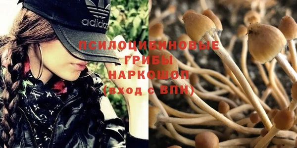 прущий лед Наволоки